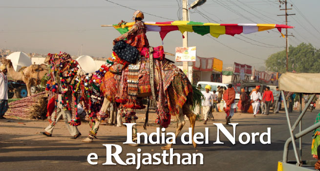 India del nord e Rajastan